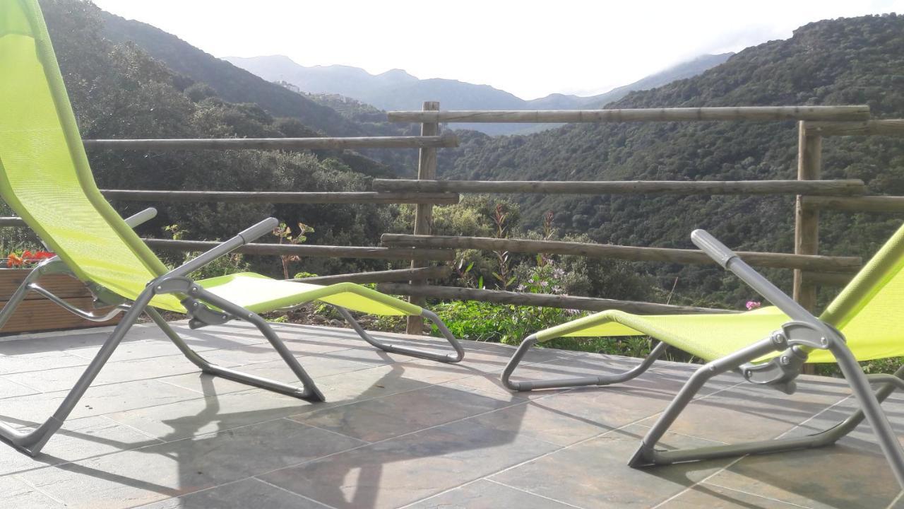 Appartement Giannoni San-Martino-di-Lota Dış mekan fotoğraf