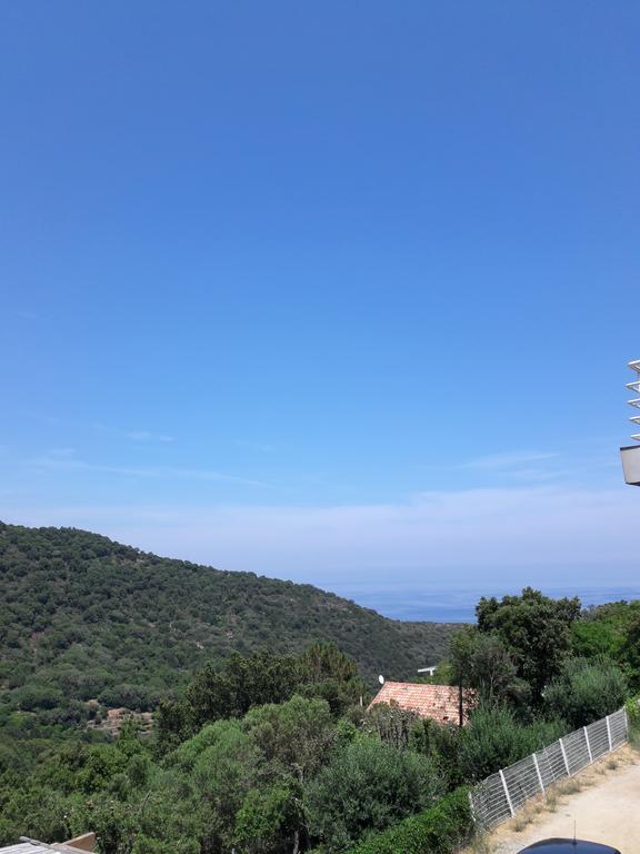 Appartement Giannoni San-Martino-di-Lota Dış mekan fotoğraf